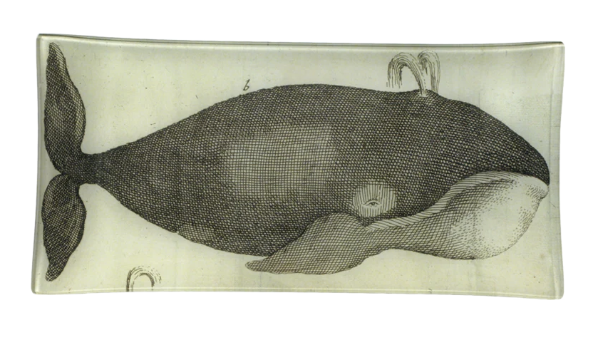 John Derian | Spouting Whale 6x12" Pencil Tray
