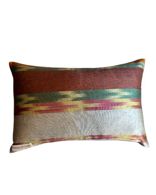 Double Sided Silk/Ikat pillow | Brown and Multicolor