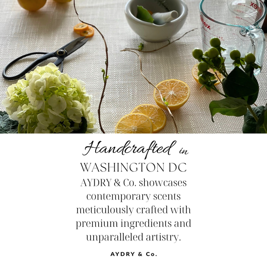 AYDRY & Co. | White Tea Hand & Body Wash