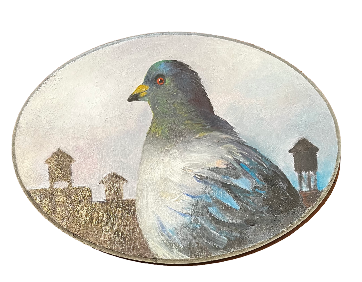 "Stewart" Pigeon