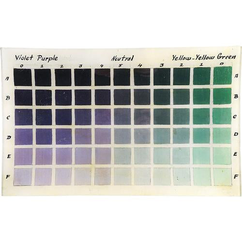 John Derian | Violet Purple - Yellow Green Color Grid 10x16 Tray