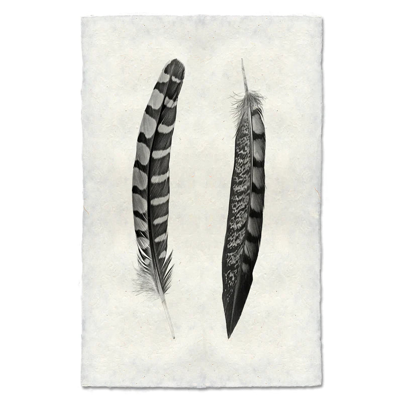 Partridge Wing and Lady Amherst Pheasant Tail