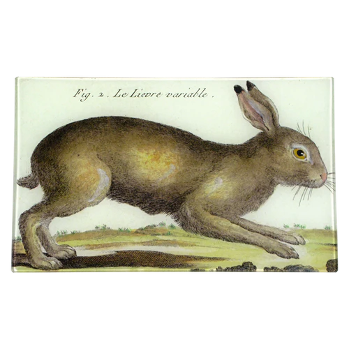 John Derian Company | Rabbit 7" x 11.5" Tray