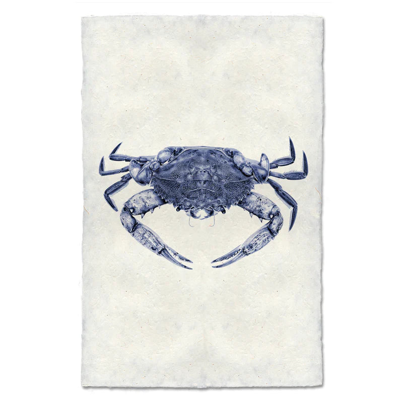 Blue Crab, Blue