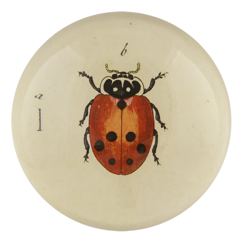 John Derian | Big Dot Ladybug - 5 1/4" Round Plate