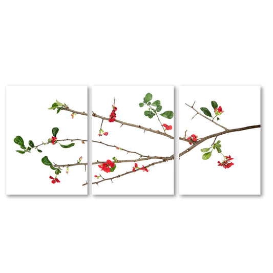 QUINCE TRILOGY TRIPTYCH PRINT