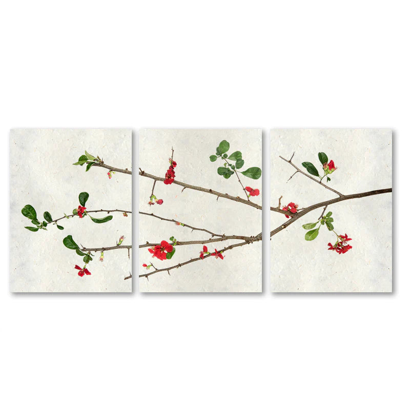 QUINCE TRILOGY TRIPTYCH PRINT