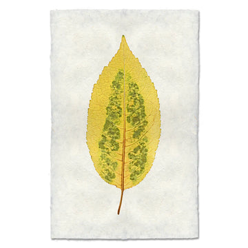 Autumn Leaf Print- CHERRY LEAF