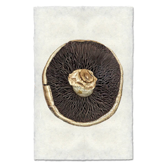 PORTABELLO MUSHROOM #2