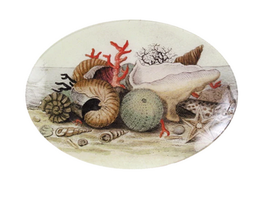 Shells, circa 1755