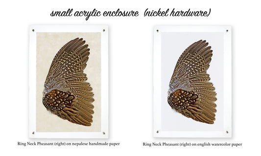 Acrylic Enclosures | Framing by Barloga Studios