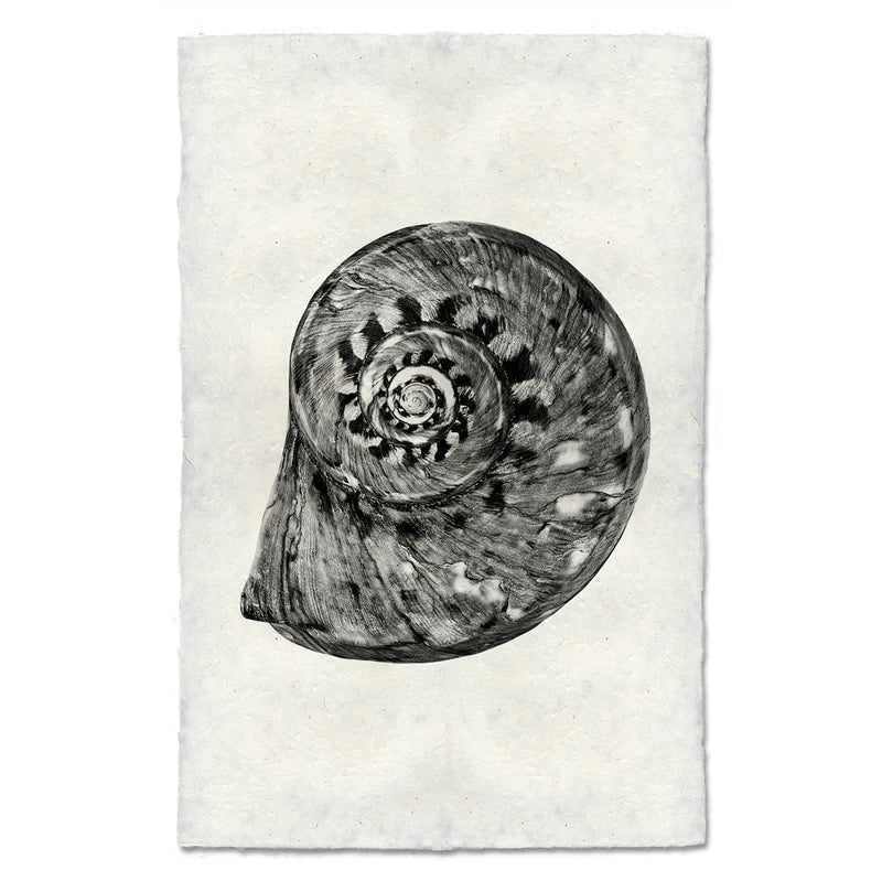 Spiral, B&W