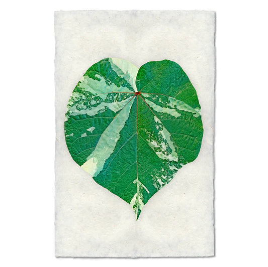 TROPICAL LEAF #4, COLOR