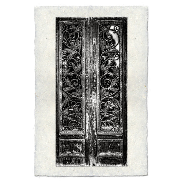 Door Print "Vine"