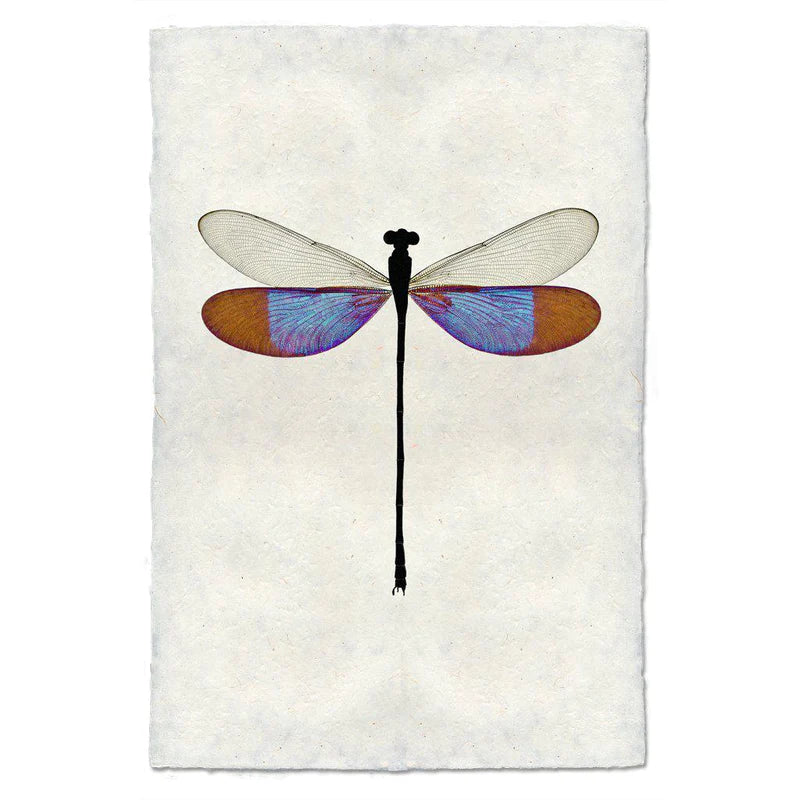 Blue Damsel