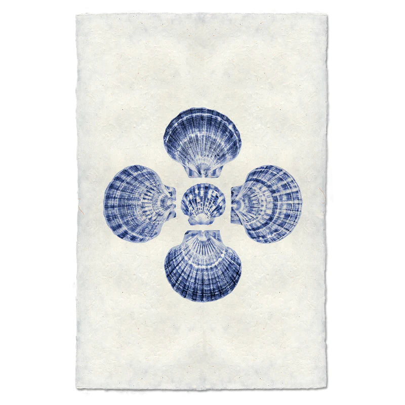 5 Scallops, Blue