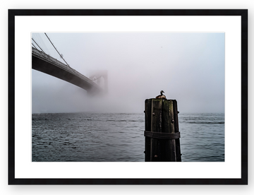 Stephen Pile | Brooklyn Bridge Goose 10 x 15 Framed/Matted