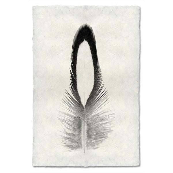 Lady Amherst Pheasant Tippet Feather