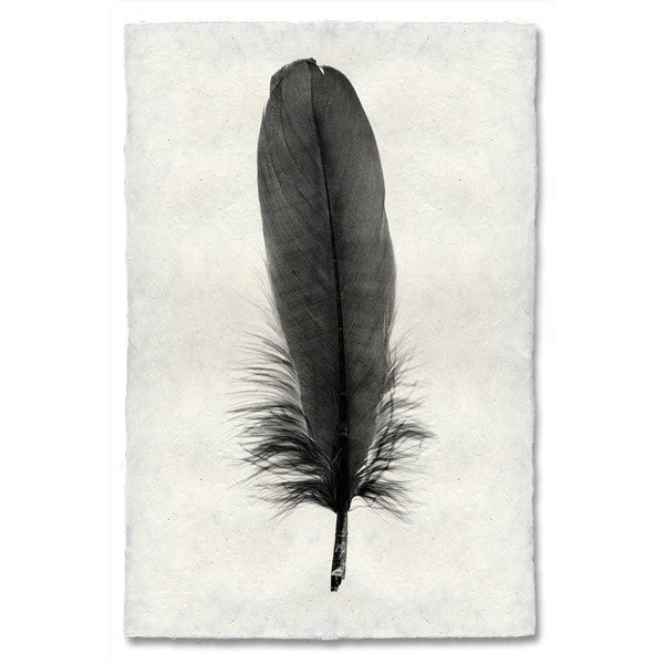 Goose feather