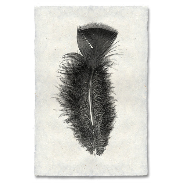 Turkey feather