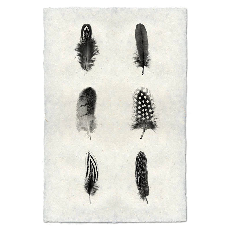 FEATHER COMPOSITE