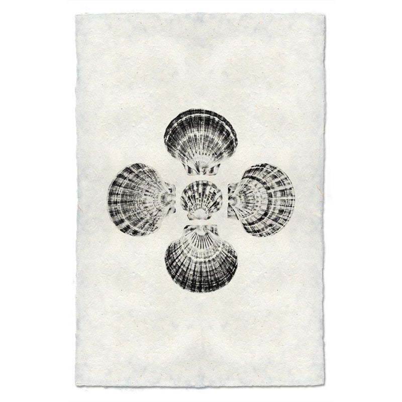 5 Scallops, B&W