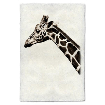 Safari Giraffe Print