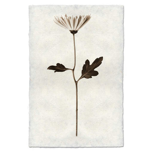 "Mum" Flower Print