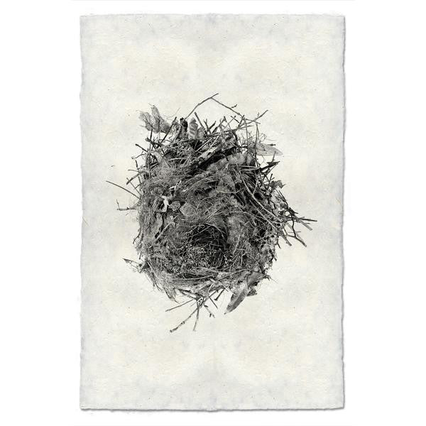 Nest #13