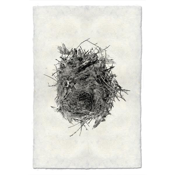 Nest #13 Print