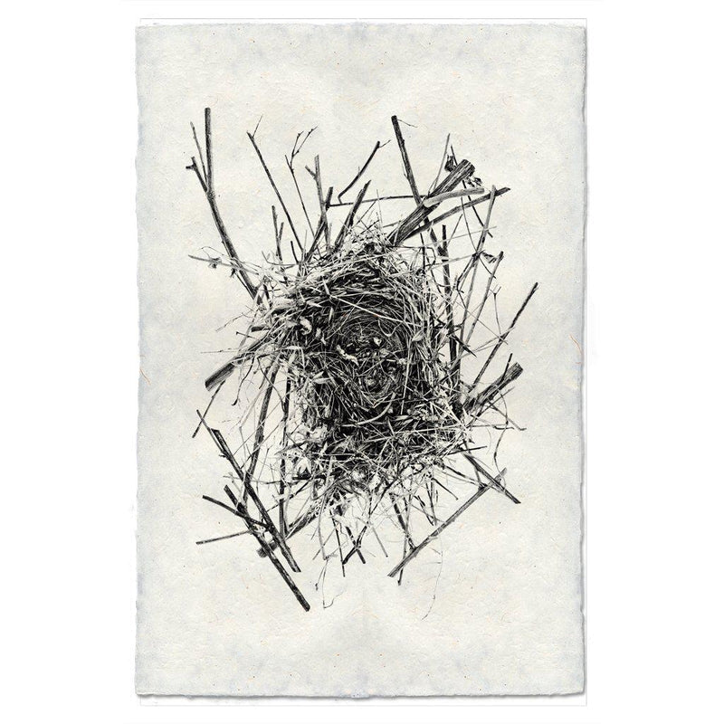 Nest #14