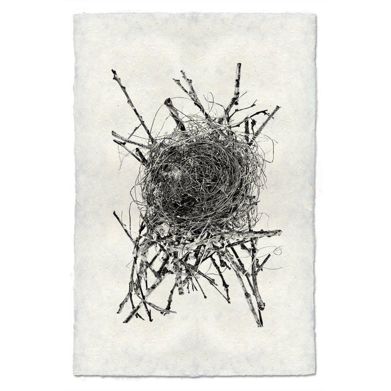 Nest #15