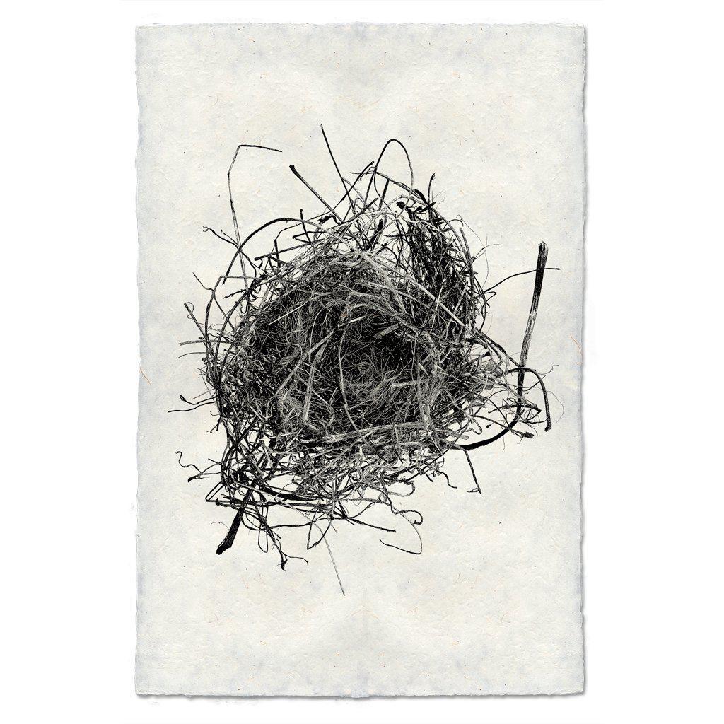 Nest #9