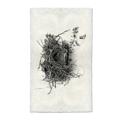 Nest #1