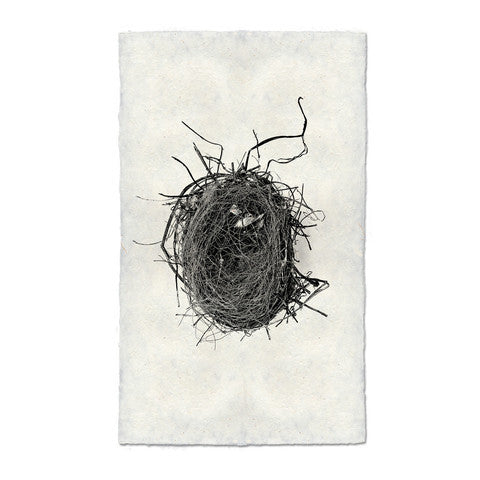 Nest #4