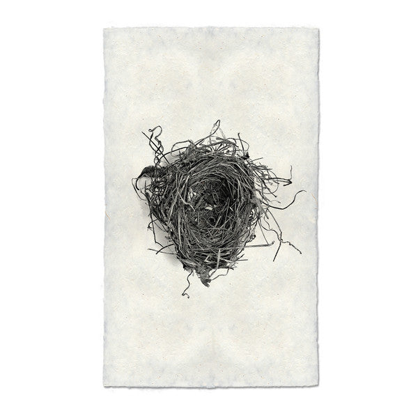 Nest #5