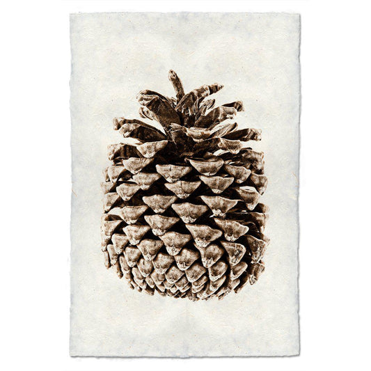 PONDEROSA PINE CONE