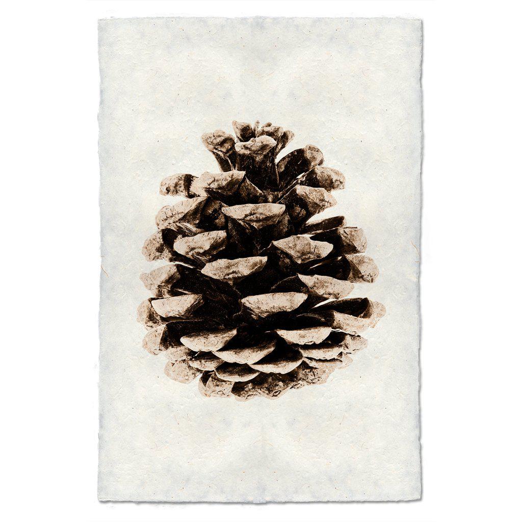 RED LEAF PINE CONE