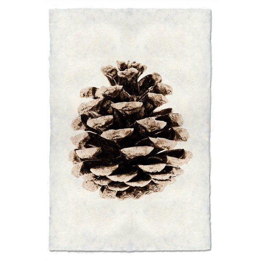 RED LEAF PINE CONE