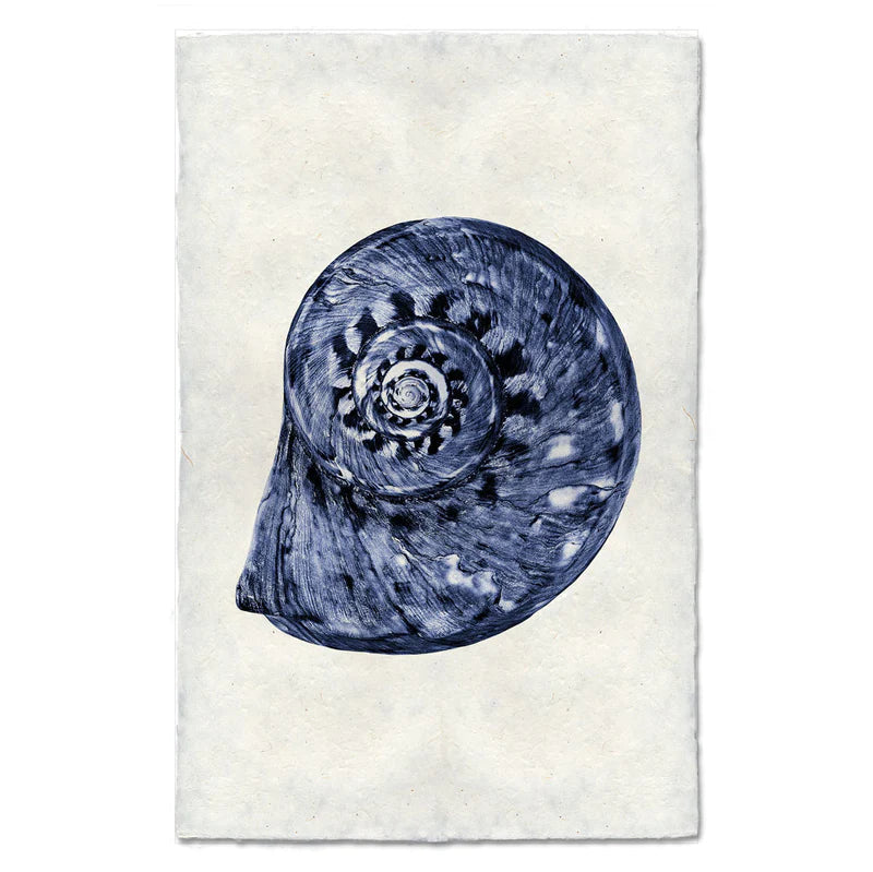 Spiral, Blue