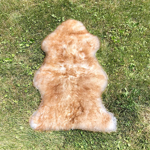 Sheepskin Rug - Single