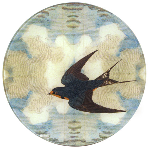 John Derian | Swallow in Flight
