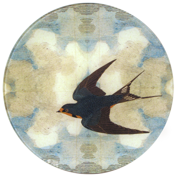Swallow in Flight, Left and Right