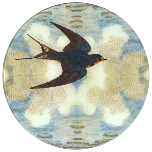 John Derian | Swallow in Flight