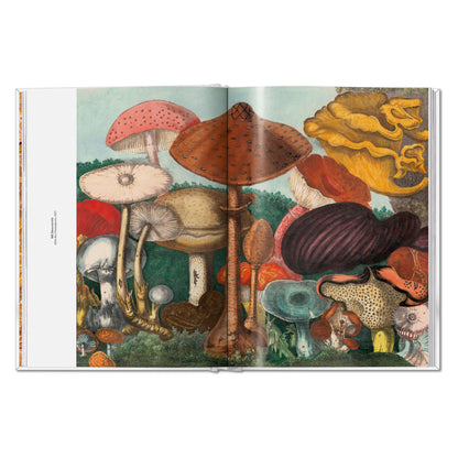 The Gourmand's Mushroom. A Collection of Stories and Recipes (English)