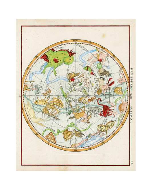 John Derian Company | Hemisphere Austral, 11 x  14" Rect. Tray