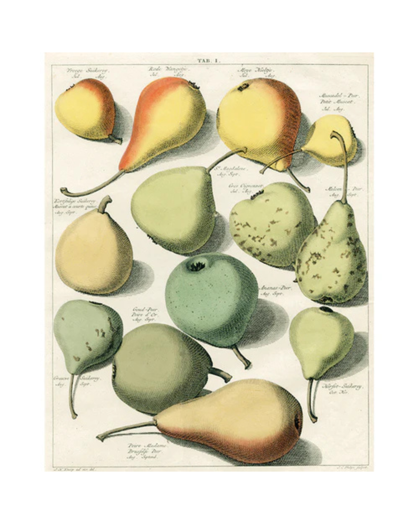 John Derian Company | Pear Tab II, 11 x  14" Rect. Tray