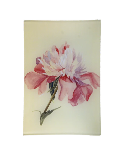 John Derian Company | Peony 2 Tray 6"x9"