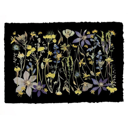 NIGHT MEADOW, Framed by Tricia Paoluccio