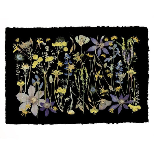NIGHT MEADOW, Framed by Tricia Paoluccio